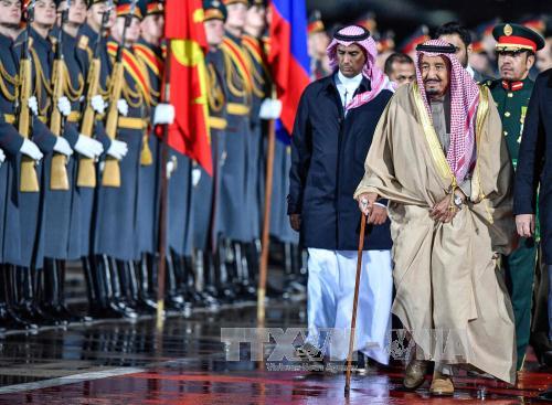 Tổng thống Nga và Quốc vương Saudi Arabia thảo luận nhiều vấn đề quốc tế quan trọng ảnh 1